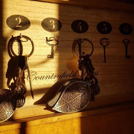 Apartamento Rural Alfawara Alfafara エクステリア 写真