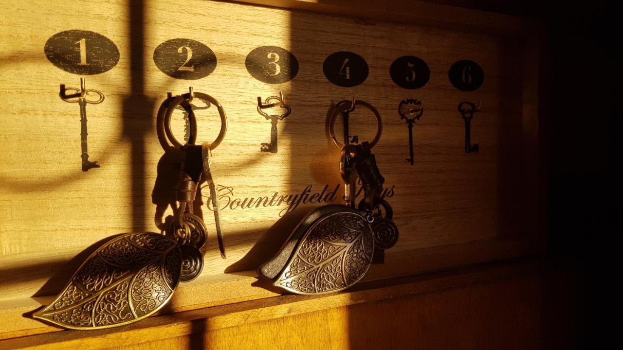 Apartamento Rural Alfawara Alfafara エクステリア 写真
