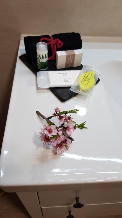Apartamento Rural Alfawara Alfafara エクステリア 写真